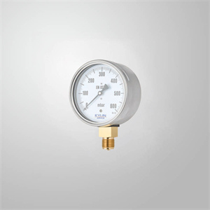 Capsule pressure gauges