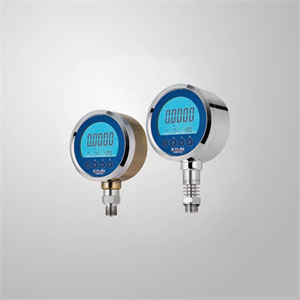 Digital pressure gauges